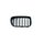 SET Kühlergrill Grill Schwarz Doppelsteg passend für BMW X3 F25 ab 2010 nicht X3M