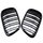 SET Kühlergrill Grill Schwarz Doppelsteg passend für BMW 5er E39 1995-2003 nicht M5